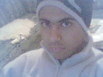 salama 3alikom